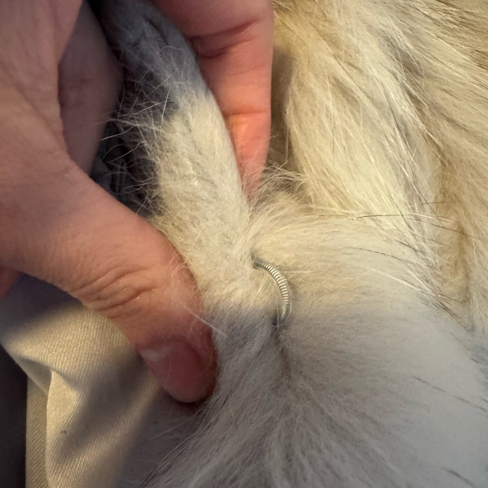 100% Fox Fur Coat - Picture 10 of 10